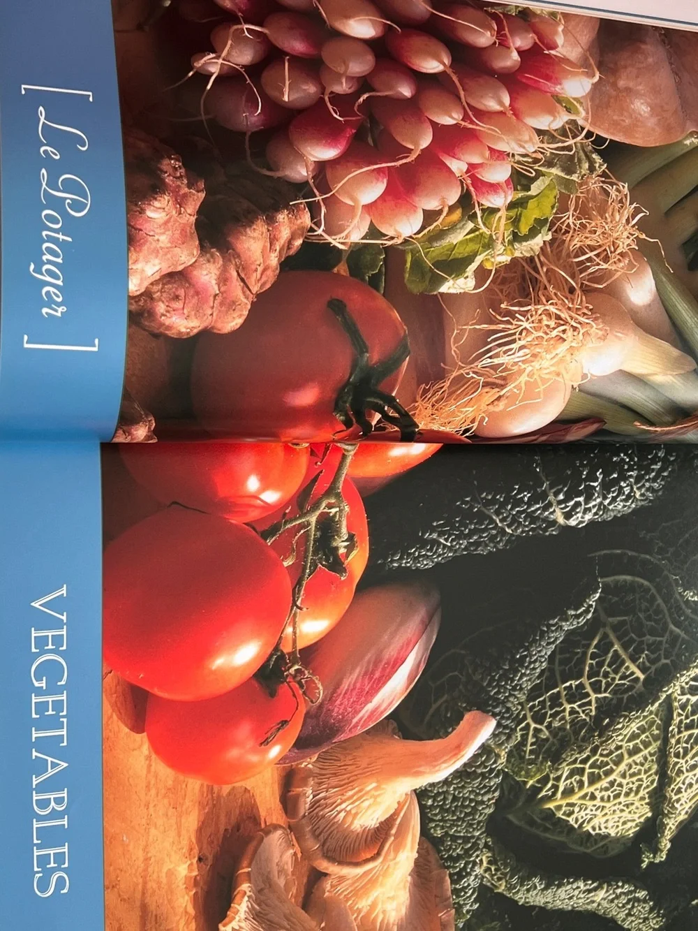 Ducasse Flavors of France Cookbook